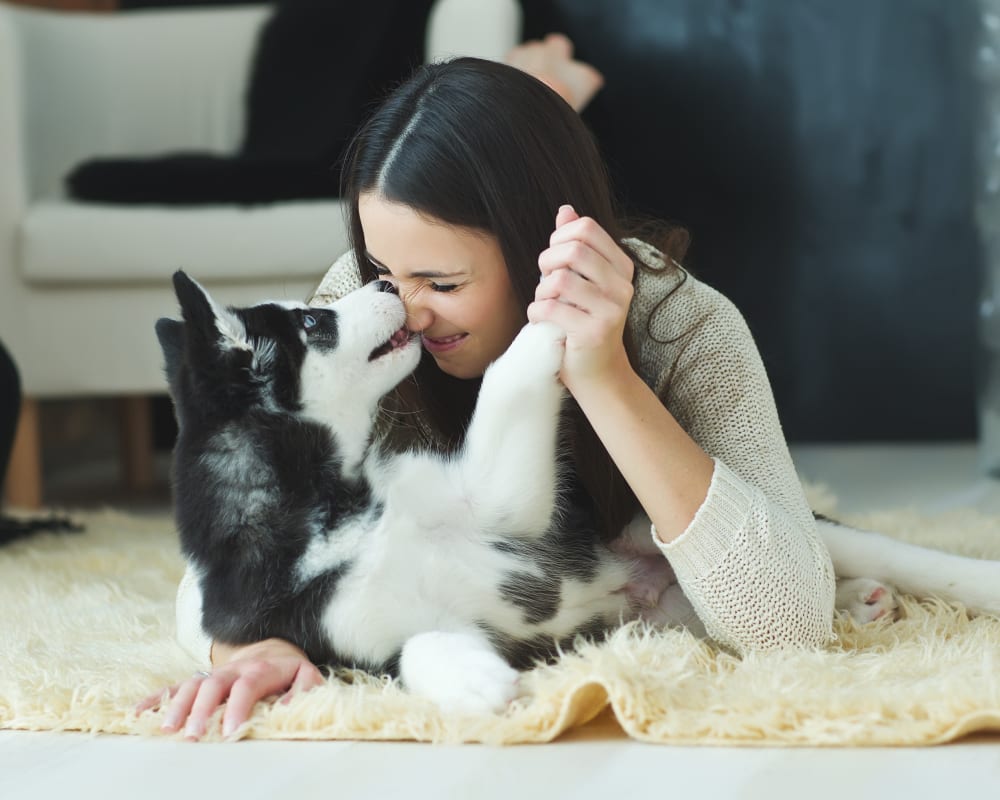 Puppies & Kittens, Orléans Veterinarians