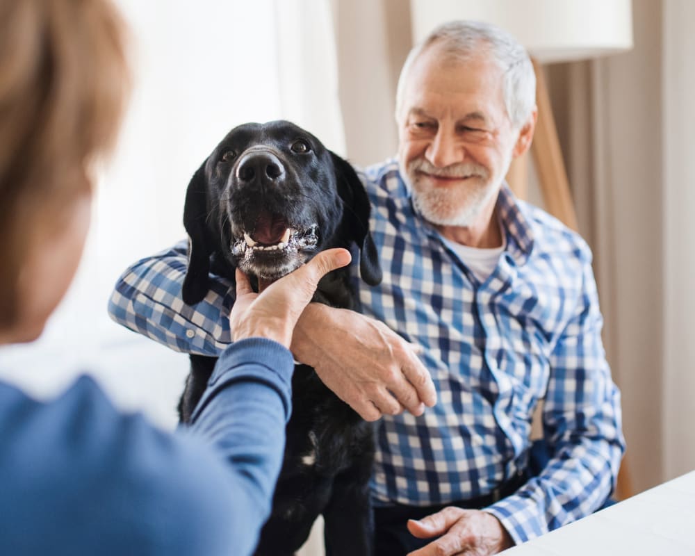 Senior Care for Pets, Orléans